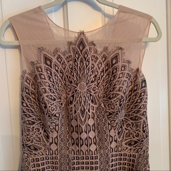 BCBG MaxAzria blush & black lace dress NEW nude - Picture 8 of 16